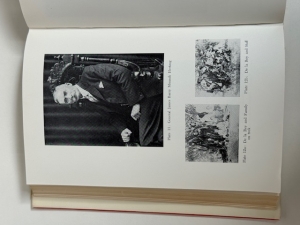 De La Rey : Lion of the West - click to enlarge De La Rey : Lion of the West
