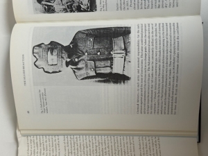 The Poisonous Cloud : Chemical Warfare in the First World War - click to enlarge The Poisonous Cloud : Chemical Warfare in the First World War