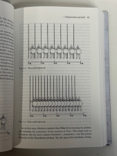 The Macedonian Phalanx : Equipment, Organization & Tactics from Philip II & Alexander to the Roman Conquest - click to enlarge The Macedonian Phalanx : Equipment, Organization & Tactics from Philip II & Alexander to the Roman Conquest