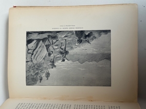 The History of Lumsden's Horse : A Complete Record of the Corps from its Formation to Disbandment - click to enlarge The History of Lumsden's Horse : A Complete Record of the Corps from its Formation to Disbandment