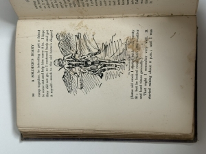 A Soldier's Diary: South Africa 1899–1901 - click to enlarge A Soldier's Diary: South Africa 1899–1901