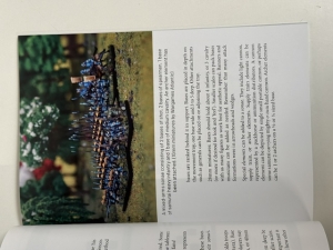 Heiho The art of war : Wargames rules for large battles of Sengoku period Japan, 1560-1615 - click to enlarge Heiho The art of war : Wargames rules for large battles of Sengoku period Japan, 1560-1615