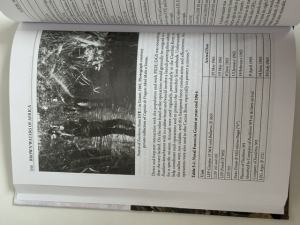 Brown Waters of Africa : Portuguese Riverine Warfare 1961-1974 - click to enlarge Brown Waters of Africa : Portuguese Riverine Warfare 1961-1974