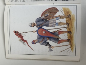 Hastings 1066 : The Fall of Saxon England