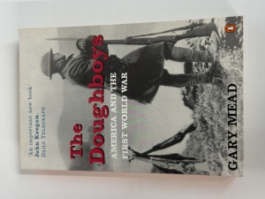 The Doughboys : America and the First World War