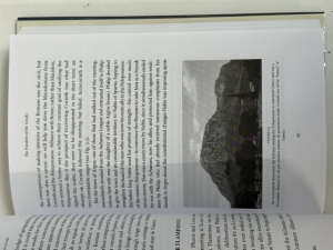 Taken at the flood : The Roman Conquest of Greece - click to enlarge Taken at the flood : The Roman Conquest of Greece