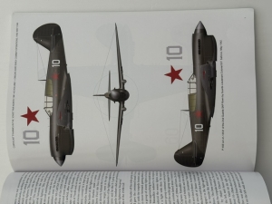 Curtiss Kittyhawks in the Soviet Far North 1941-45 Volume 1 : Origins and Early Combat Operations, 1942-May 1944 - click to enlarge Curtiss Kittyhawks in the Soviet Far North 1941-45 Volume 1 : Origins and Early Combat Operations, 1942-May 1944