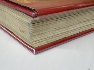 Prince Rupert of the Rhine - click to enlarge Prince Rupert of the Rhine