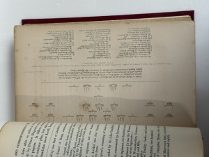 Memoirs of Prince Rupert, and the Cavaliers : Including Their Private Correspondence, Now First Published from the Original Manuscripts