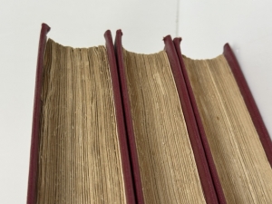 Memoirs of Prince Rupert, and the Cavaliers : Including Their Private Correspondence, Now First Published from the Original Manuscripts